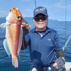 アマラバリベンジマッチ〜アルカディアⅡ〜