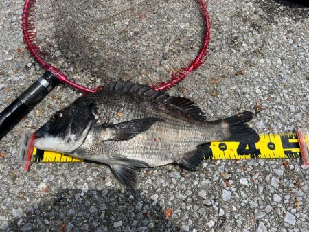 帽子は忘れずに