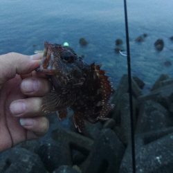 フロートゲーム～