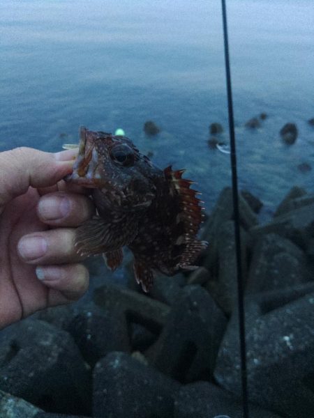 フロートゲーム～