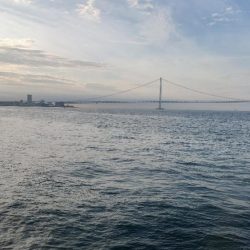 梅雨メバル調査