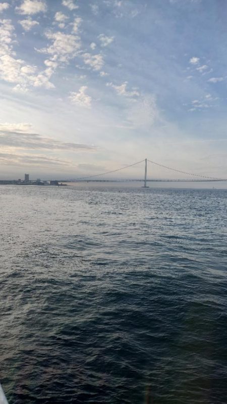 梅雨メバル調査