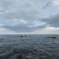 久しぶりのヤーツ！