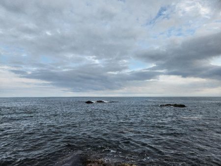 久しぶりのヤーツ！