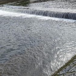 カマス再チャレンジ