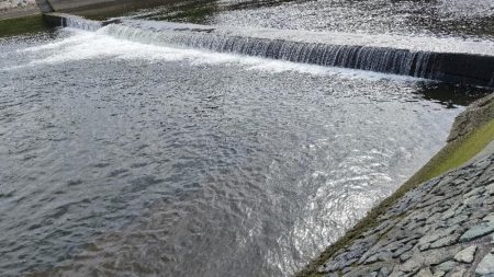 カマス再チャレンジ