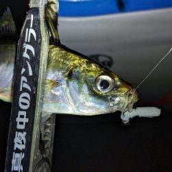 激渋→少し回復？