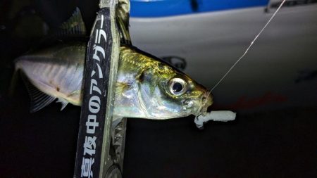 激渋→少し回復？