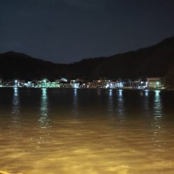 サイズアップ！