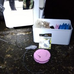 苅屋海岸のキス釣り