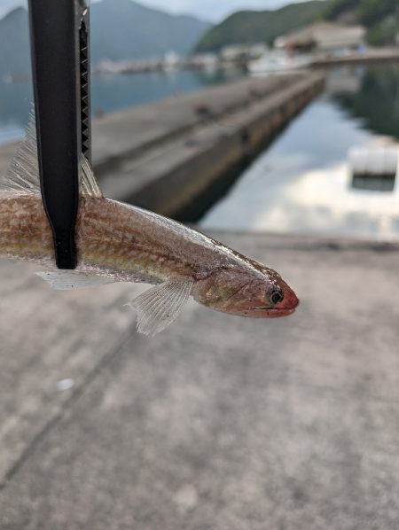 陸っぱり釣行記