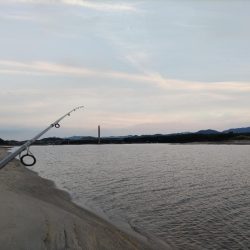 夕マズメ短時間釣行。