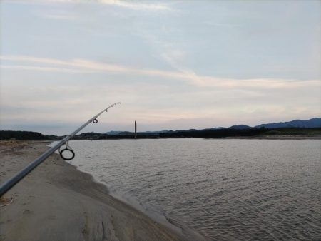 夕マズメ短時間釣行。