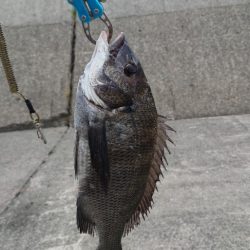 紀州釣りに挑戦しました🙋