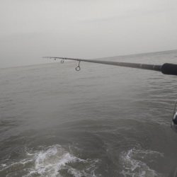 シャワーを浴びながら