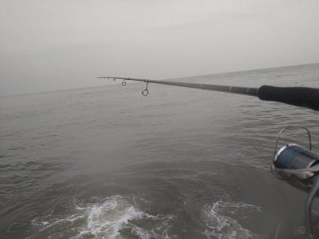 シャワーを浴びながら