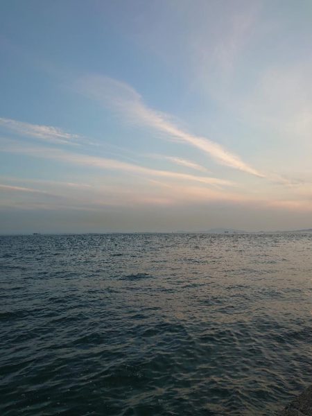 岸タコとメバリング