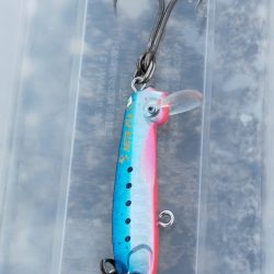 夕マヅメにコノシロの群れ