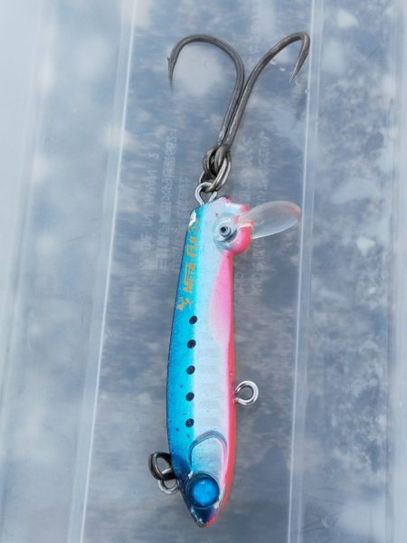 夕マヅメにコノシロの群れ