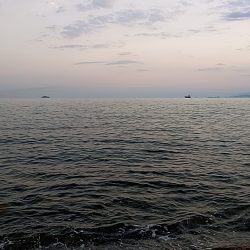 キス釣りとプラッキング