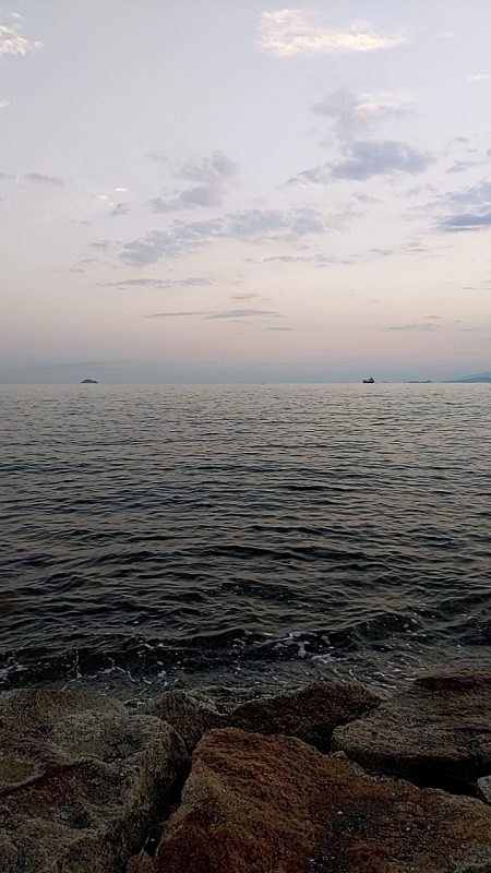 キス釣りとプラッキング