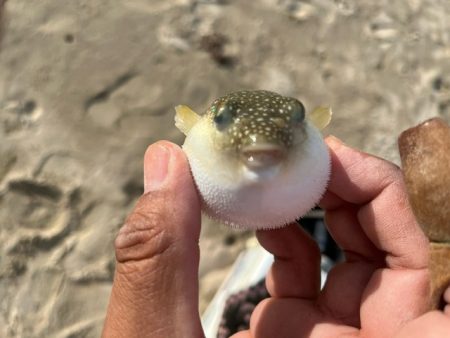 地元の釣り場を探ってみました