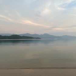 夕方の短時間釣行でしたが釣れました