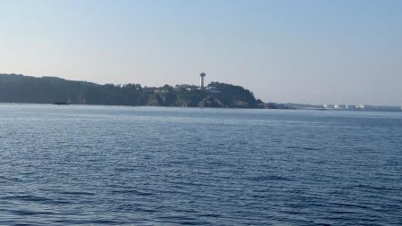 今年になっての青物初釣果