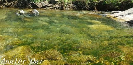 ド渇水の引原川