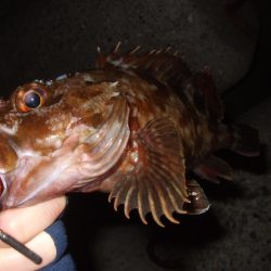 数は出たものの