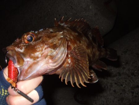 数は出たものの