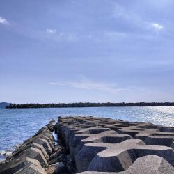 片男波にてちょい投げ