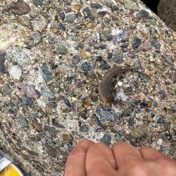 高活性だが···