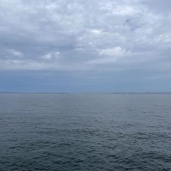 タコ ランガン不発