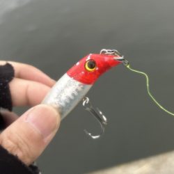 バスタックルでハクパターン遊び