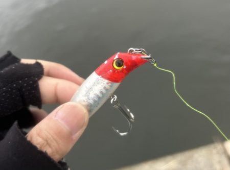 バスタックルでハクパターン遊び