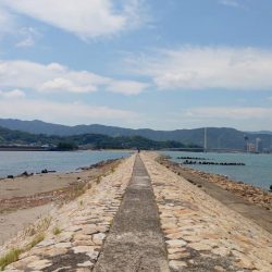 片男波（3回目）で釣果が上向き