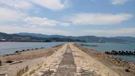 片男波（3回目）で釣果が上向き