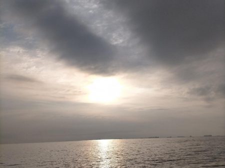 居着きの黒くてでかいシーバス