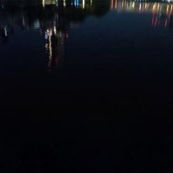 2024/06/08 大阪河川釣行