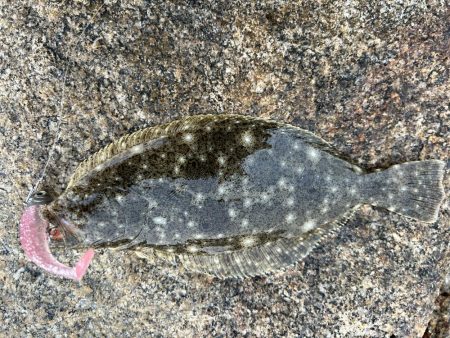 キス&フラット求めて