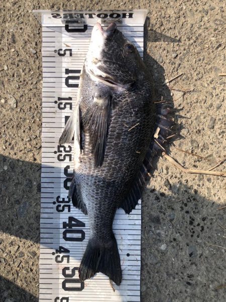 78匹‼️自己新