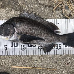 イチノ兄弟、釣果!