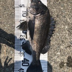 イチノ兄弟、釣果!