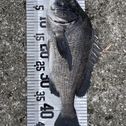 イチノ兄弟、釣果!