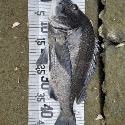 イチノ兄弟、釣果！