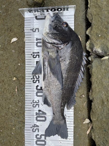 イチノ兄弟、釣果！