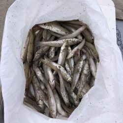 チョイ投げキス