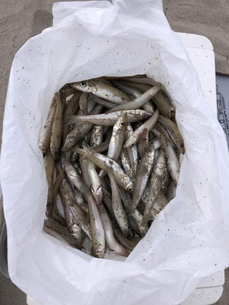 チョイ投げキス