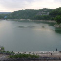 なまずとバス釣り